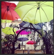 35412762 1868156853250590 3264032251398062080 n