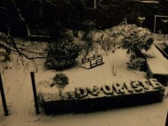 10696295 762107653873991 2658245706591732573 n